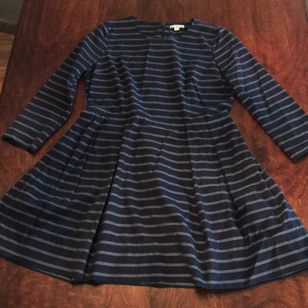 GAP Petite Fit and Flare Blue Striped Dress